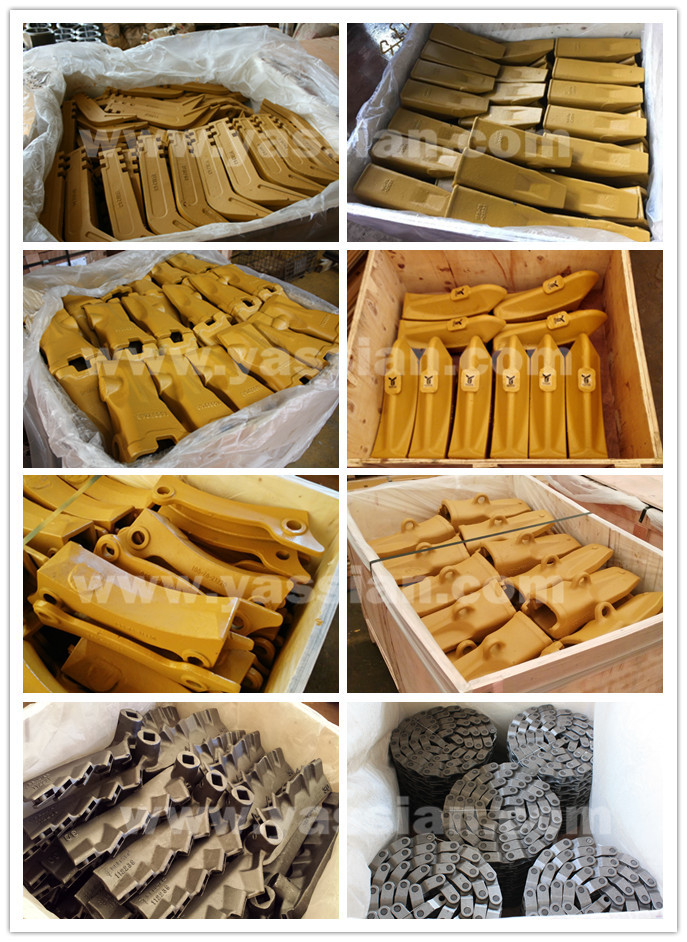 4.Teeth&adapter_副本